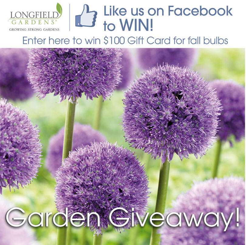 100 Garden Giveaway for Bulbs from Longfield Gardens